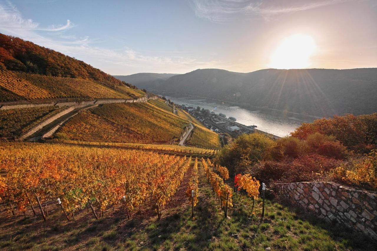 Breuer'S Ruedesheimer Schloss Rüdesheim am Rhein Esterno foto